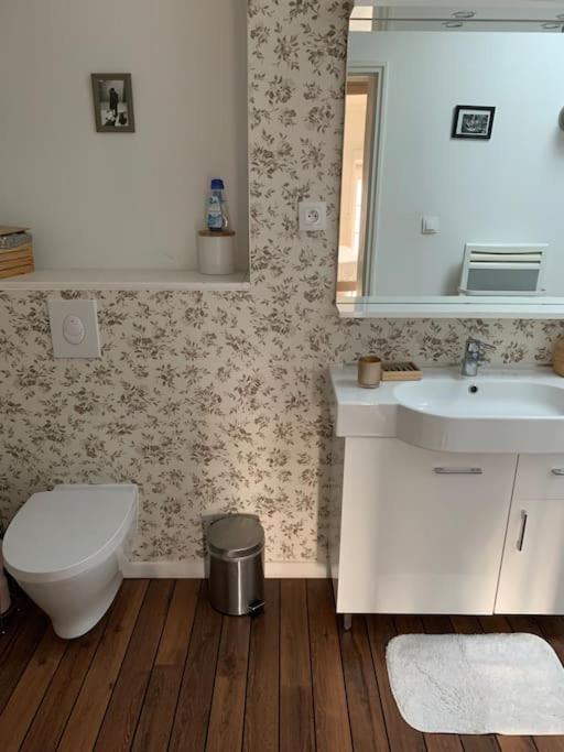 Appartement Duplexcoeur De Ville メス エクステリア 写真
